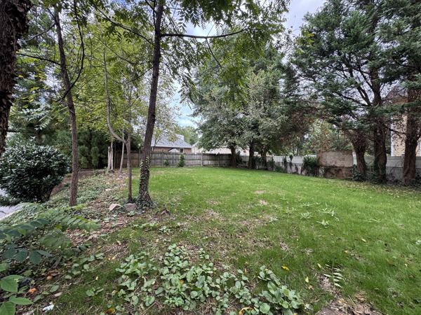 Level back yard